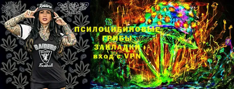 Псилоцибиновые грибы Cubensis  Комсомольск 